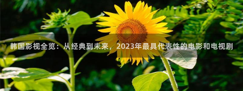 轨道影院设备：韩国影视全览：从经典到未来，2023年最具代表性的电影和电视剧