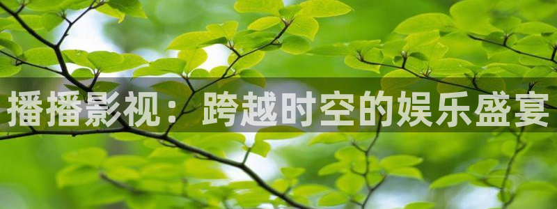 影视轨道：播播影视：跨越时空的娱乐盛宴