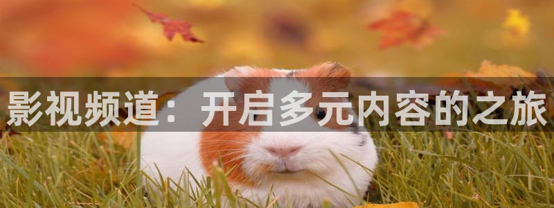 轨道裸眼3d影院：影视频道：开启多元内容的之旅