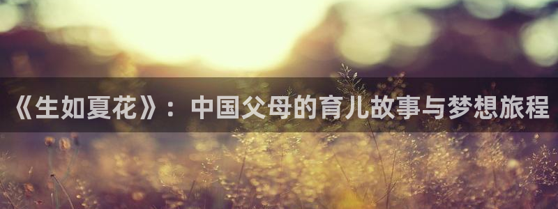 飞行轨道影院：《生如夏花》：中国父母的育儿故事与梦想旅程
