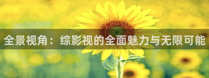 轨道影院：全景视角：综影视的全面魅力与无限可能