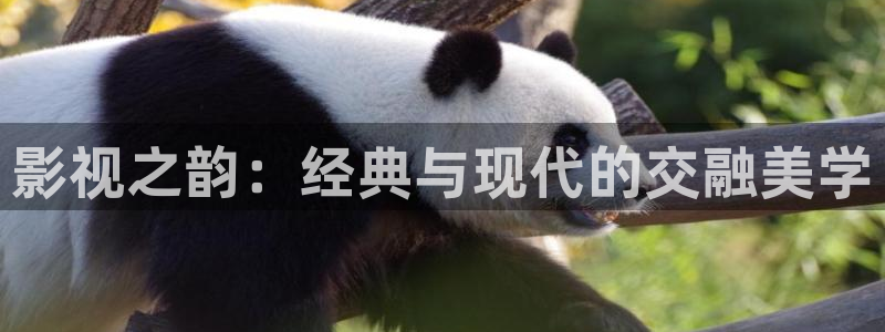 轨道影院妈妈：影视之韵：经典与现代的交融美学