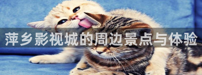 轨道影院投资多少钱：萍乡影视城的周边景点与体验